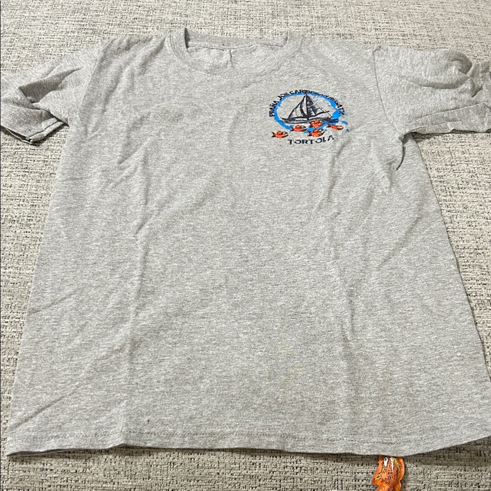 Gray Graphic T-Shirt